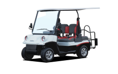 Modell N.20 P4 - 4-Sitzer – 33 km/h Bild 1